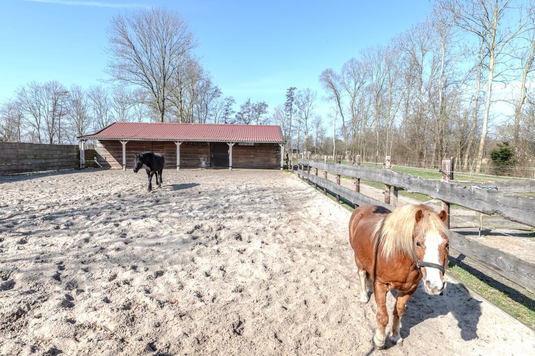 Photo 7 of Talmaweg 69