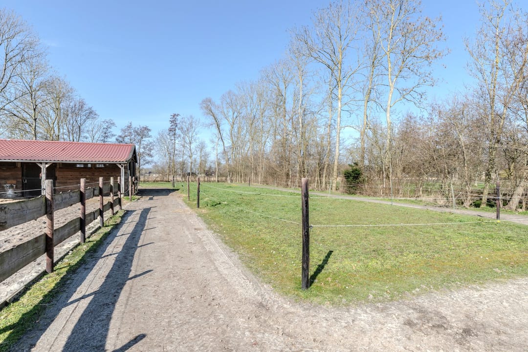 Photo 8 of Talmaweg 69