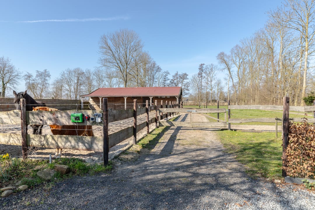 Photo 73 of Talmaweg 69