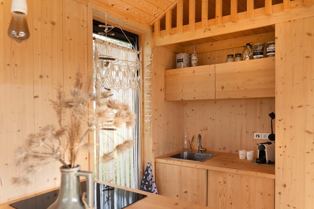 Foto 15 van Klepperstee - Koolmees 4-06