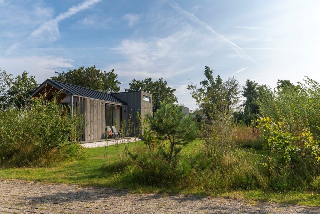 Foto 35 van Klepperstee - Koolmees 4-06