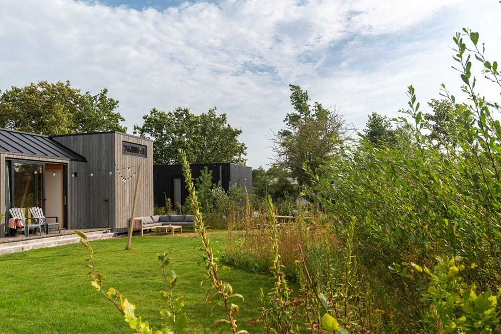 Foto 36 van Klepperstee - Koolmees 4-06