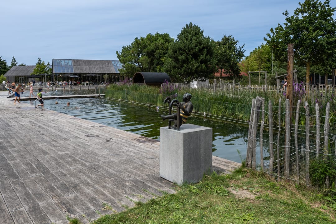 Foto 37 van Klepperstee - Koolmees 4-06