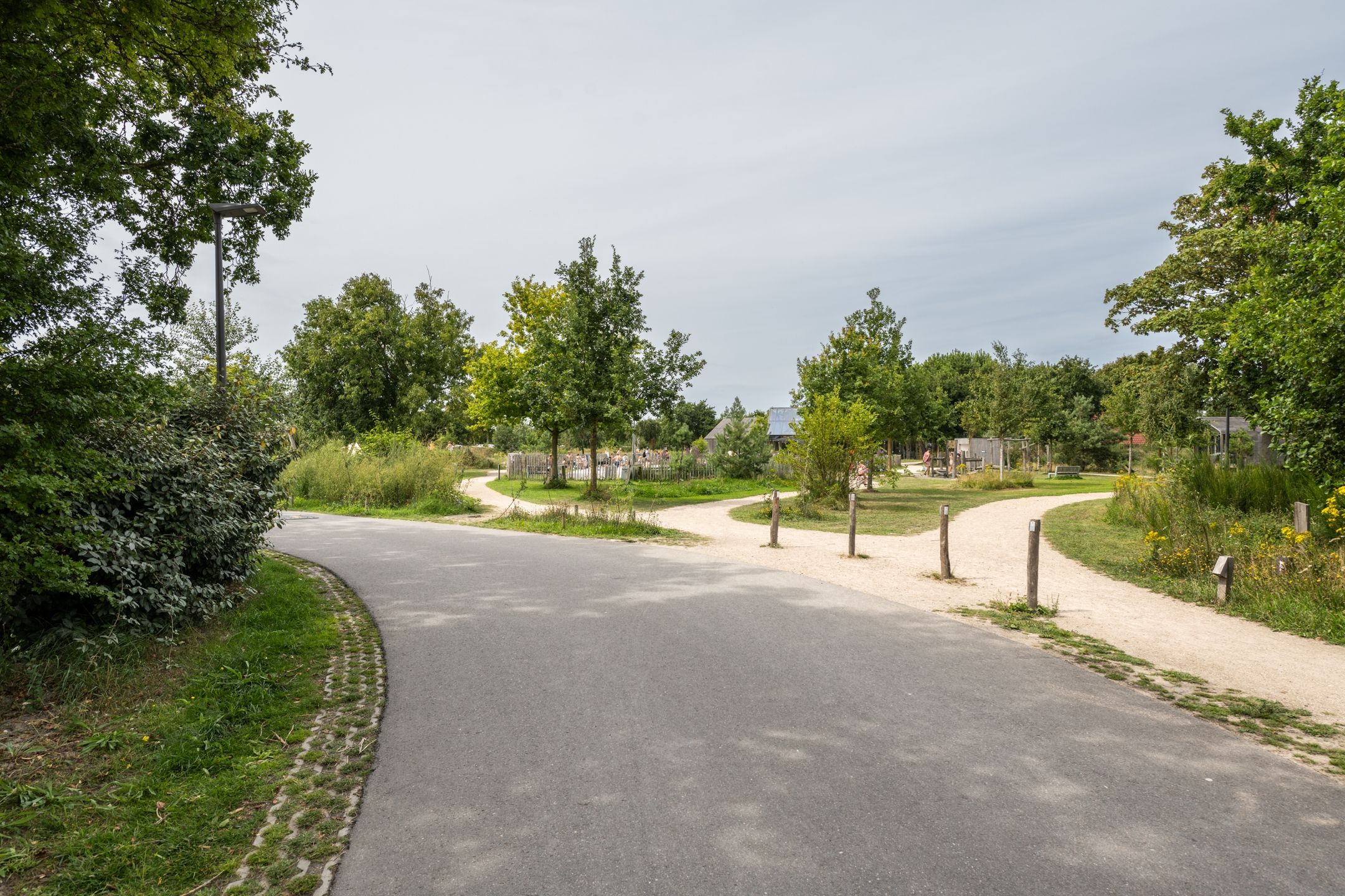 Foto 39 van Klepperstee - Koolmees 4-06