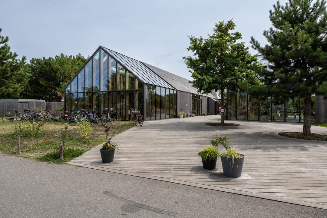 Foto 41 van Klepperstee - Koolmees 4-06