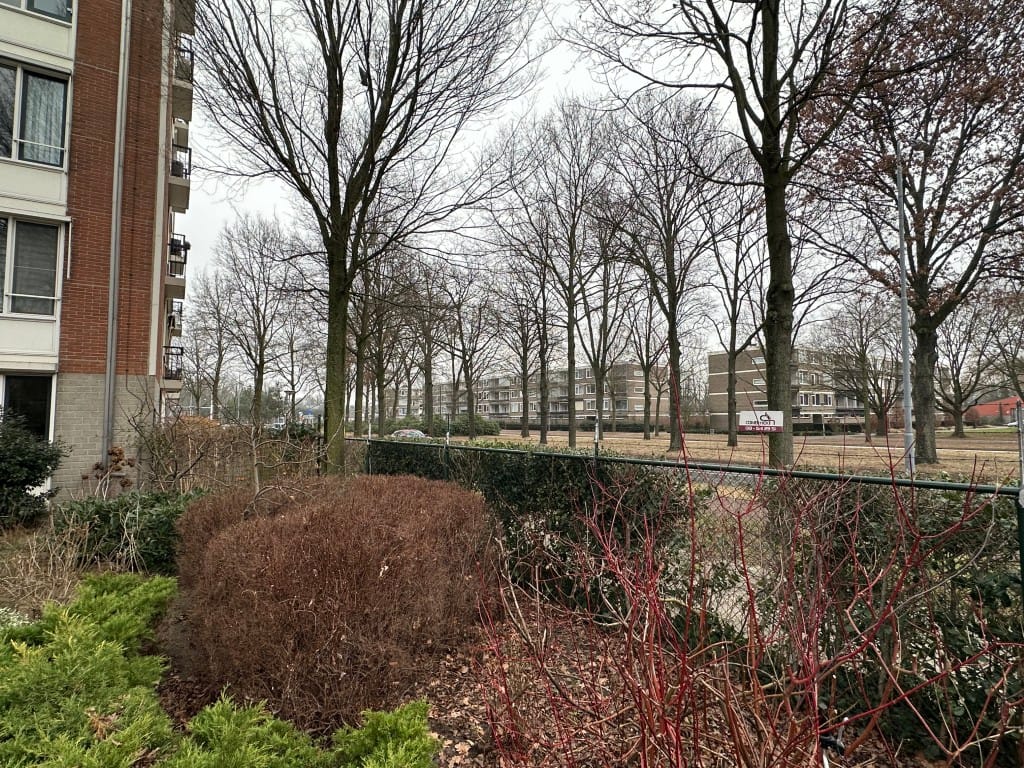 Foto 32 van Pisanostraat 206