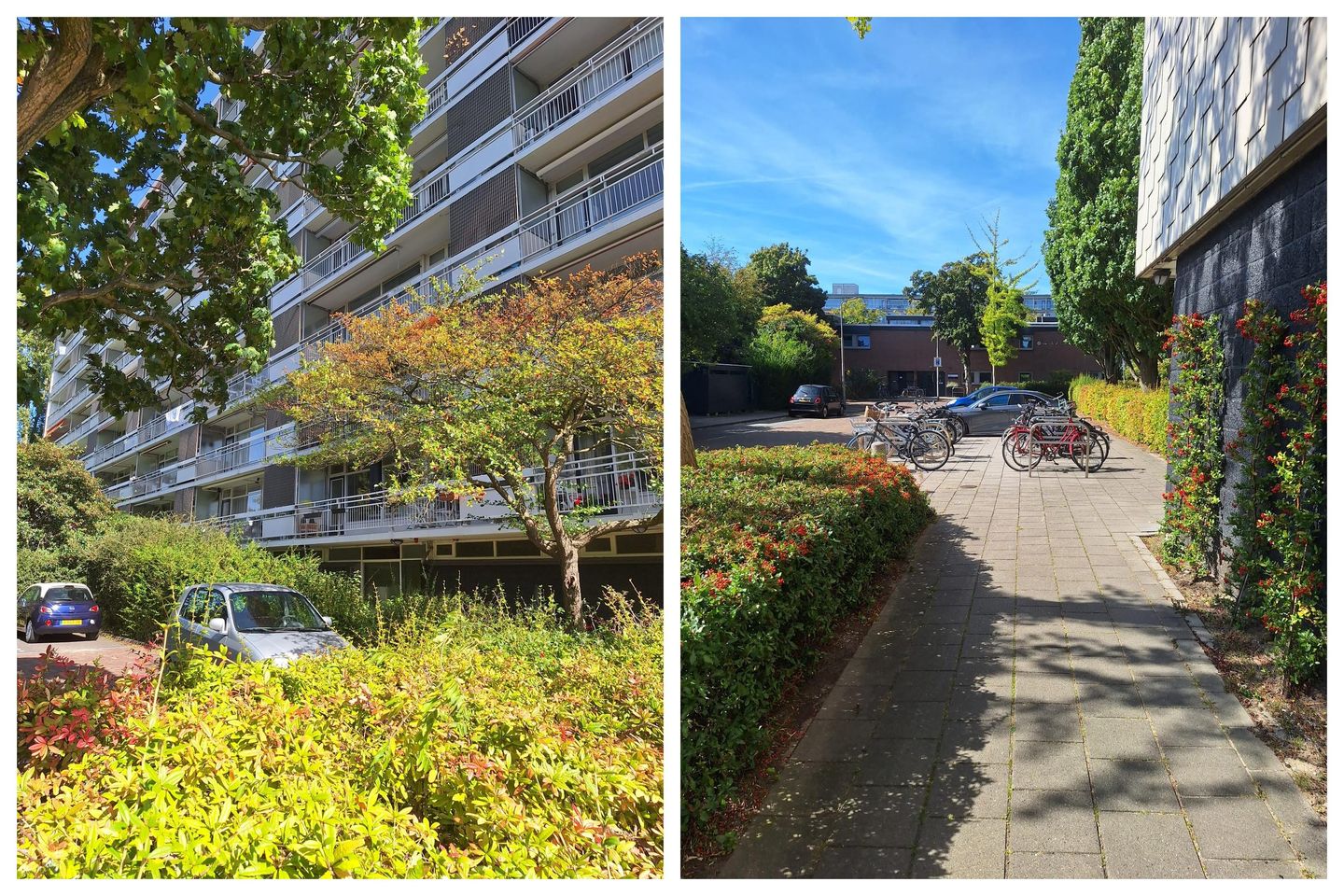 Foto 14 van Schouwenselaan 47