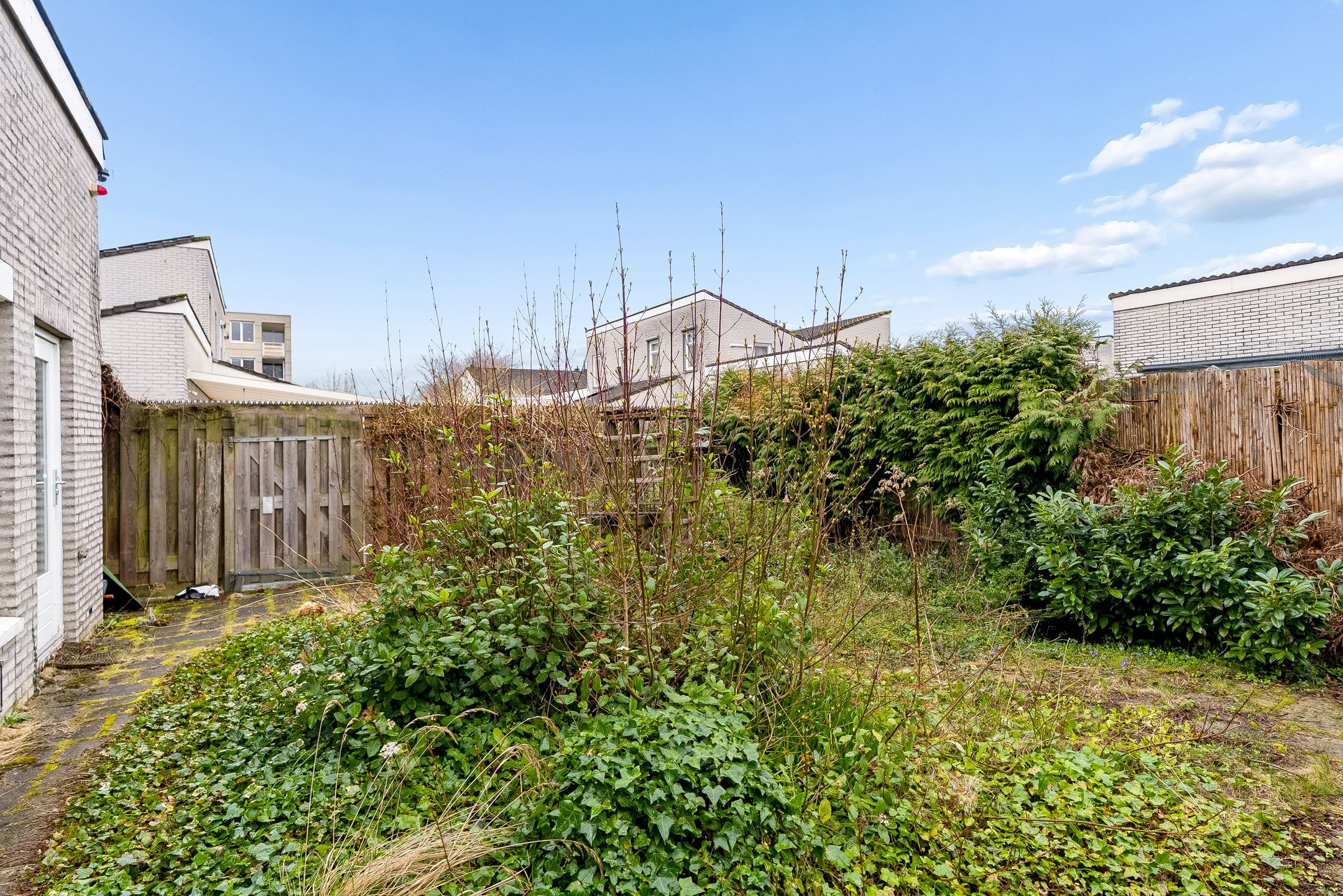 Foto 33 van P. Verhagenstraat 25