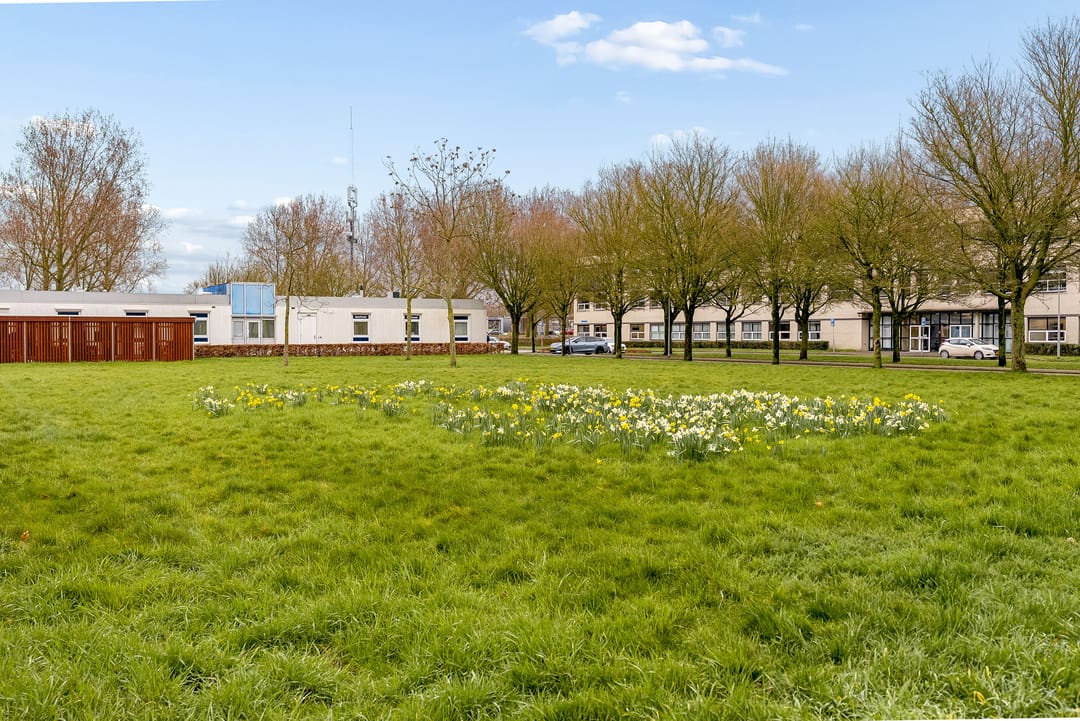 Foto 46 van P. Verhagenstraat 25