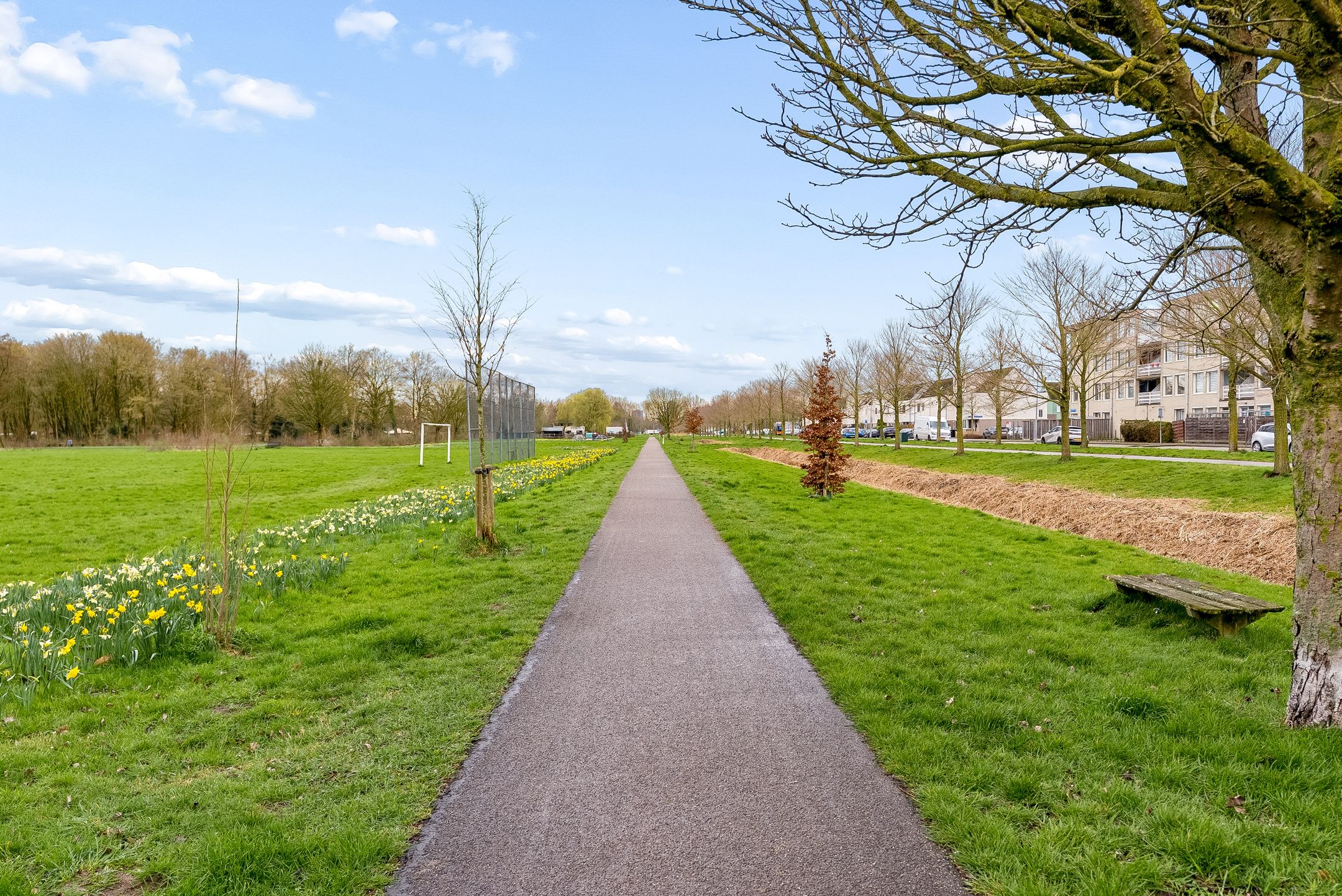 Foto 48 van P. Verhagenstraat 25