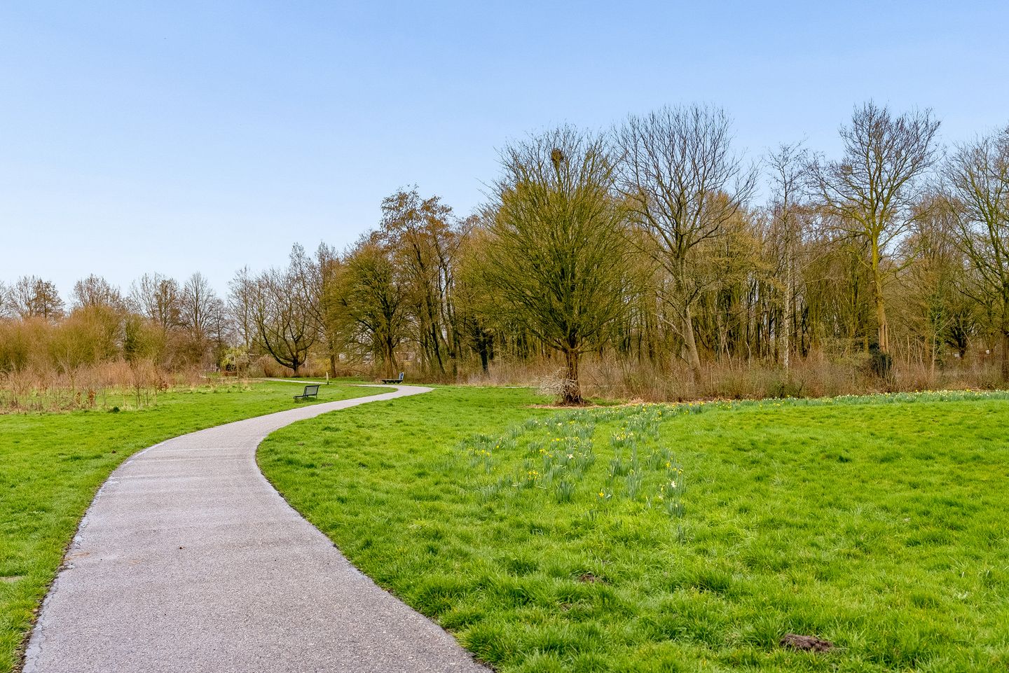 Foto 49 van P. Verhagenstraat 25