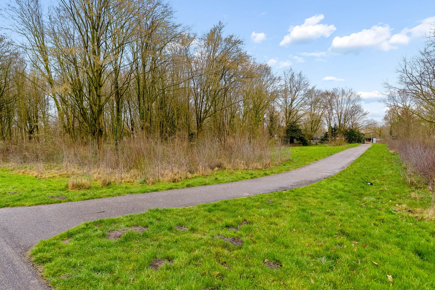 Foto 50 van P. Verhagenstraat 25