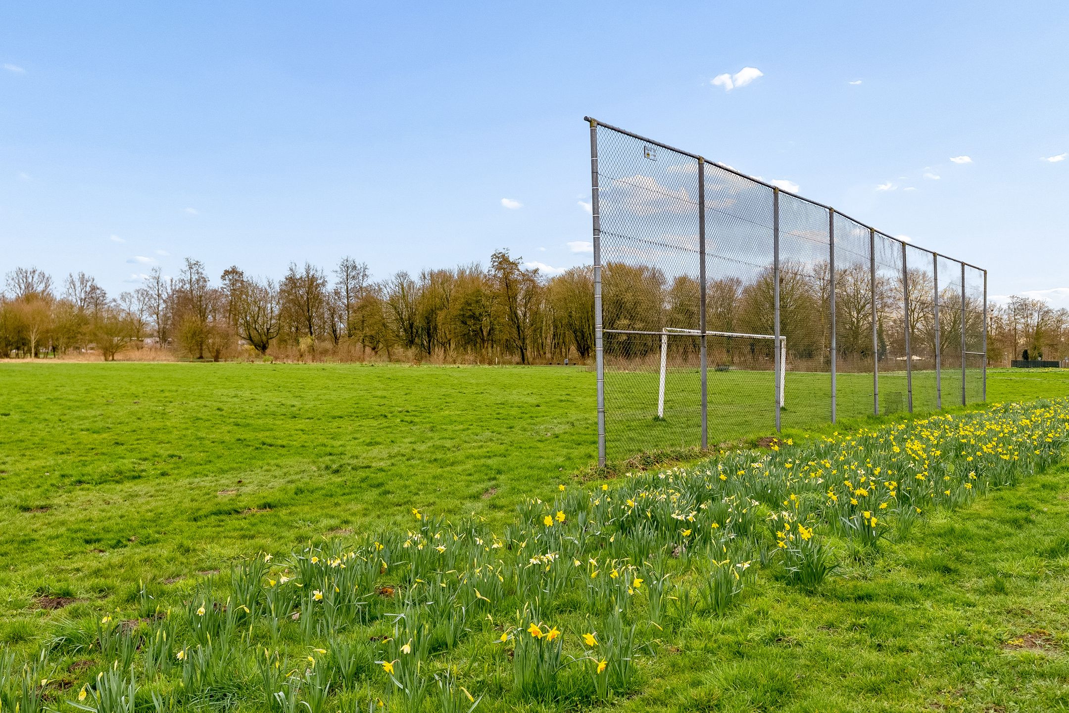 Foto 51 van P. Verhagenstraat 25