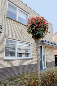 Afbeelding van Limburgerstraat 62 - Derde foto