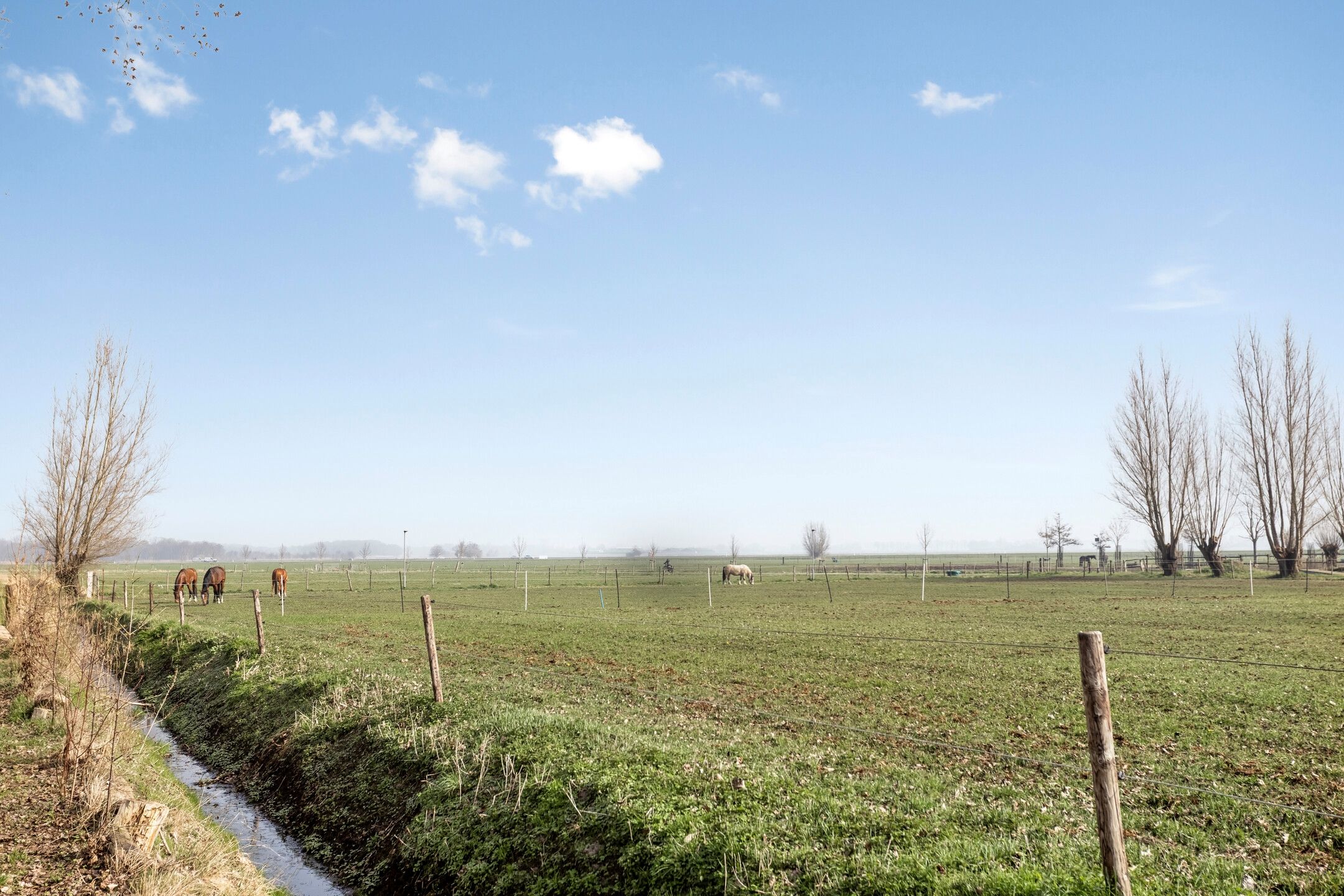 Move-in Ready Semi-Detached House with 4 Bedrooms and Large Garage in Terheijden — 46