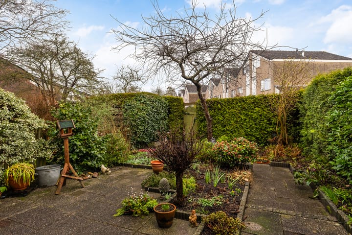 Foto 2 van Lenteklokje 55