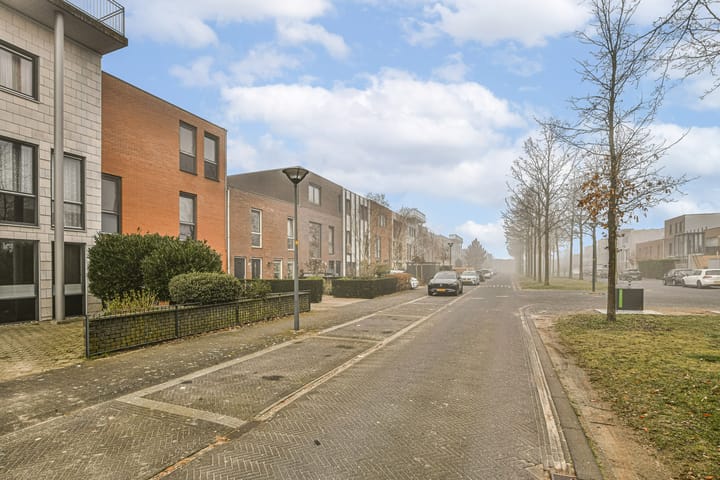 Foto 5 van Oosterschelde 72