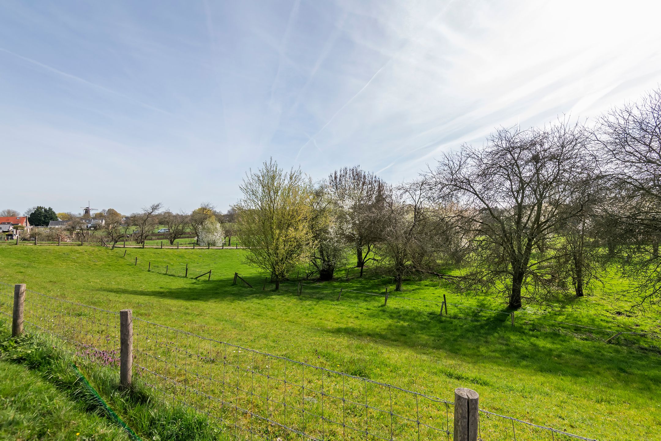 Foto 60 van Raadhuisstraat 42