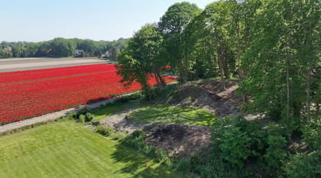 Bekslaan tertiary image