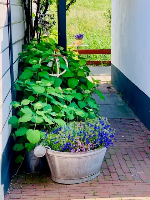 Foto 33 van Molenstraat 36