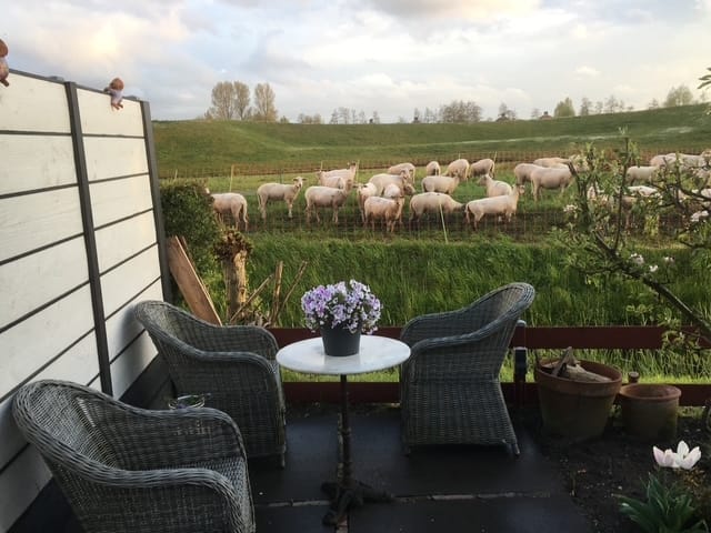 Foto 34 van Molenstraat 36