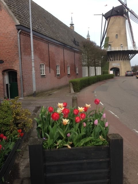 Foto 47 van Molenstraat 36