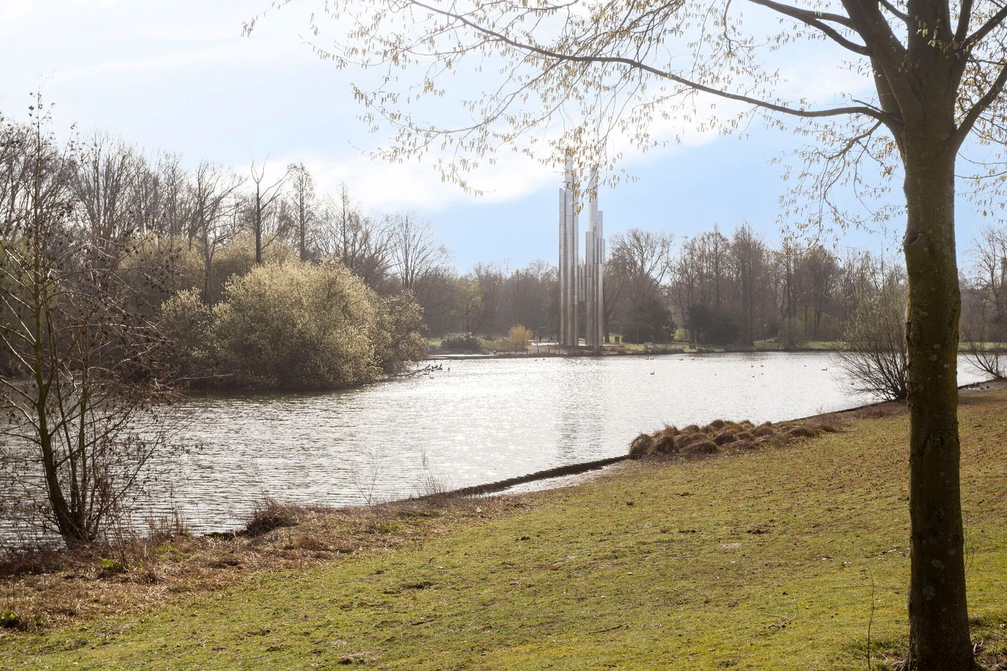 Foto 49 van Liesbergstraat 19