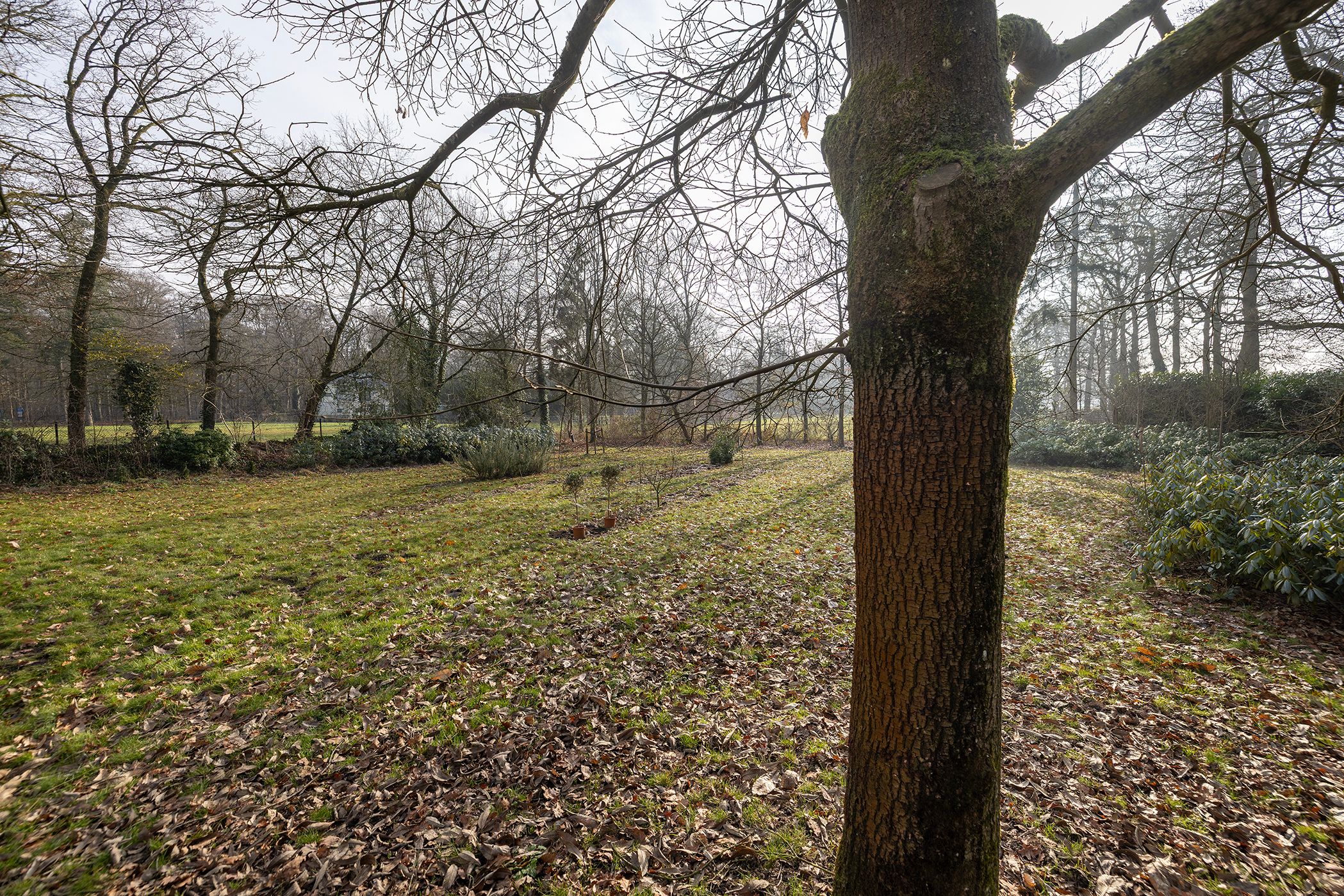 Photo 42 of Koudelaan 3