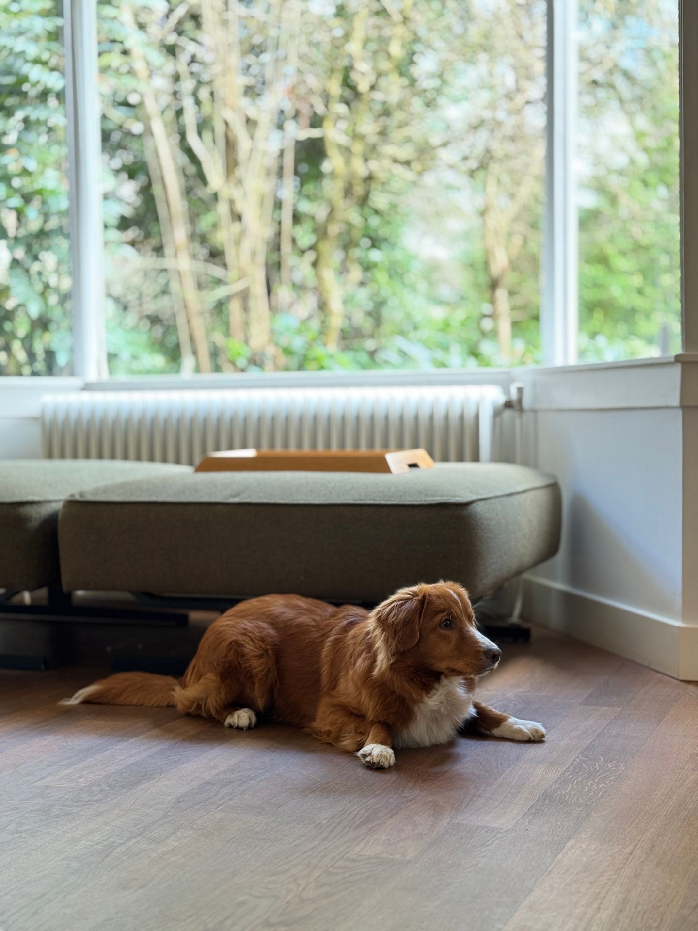 Foto 19 van Soestdijkseweg Noord 407