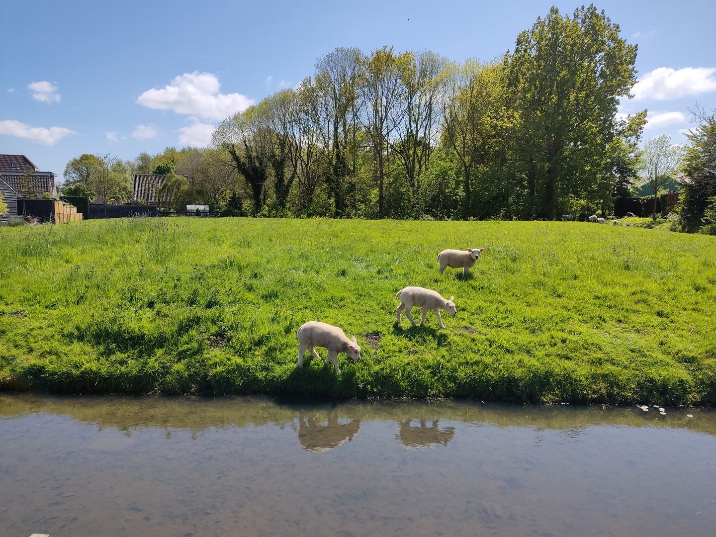 Foto 50 van Kagerbos 41