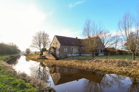 undefined main image