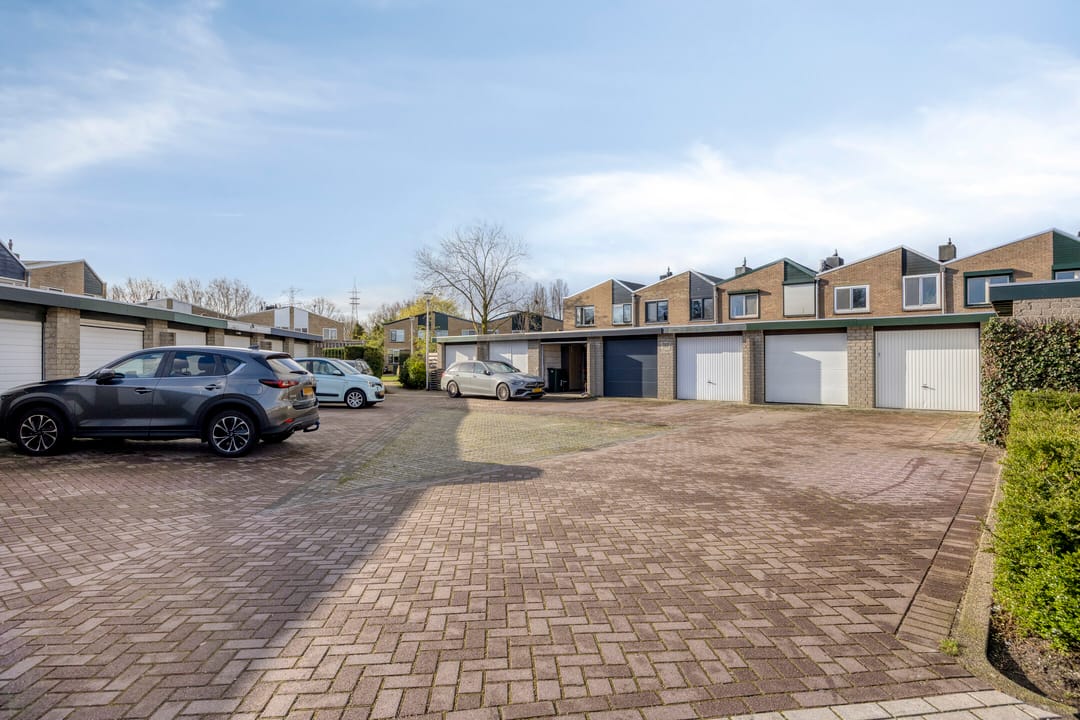 Foto 41 van Anemoon 13