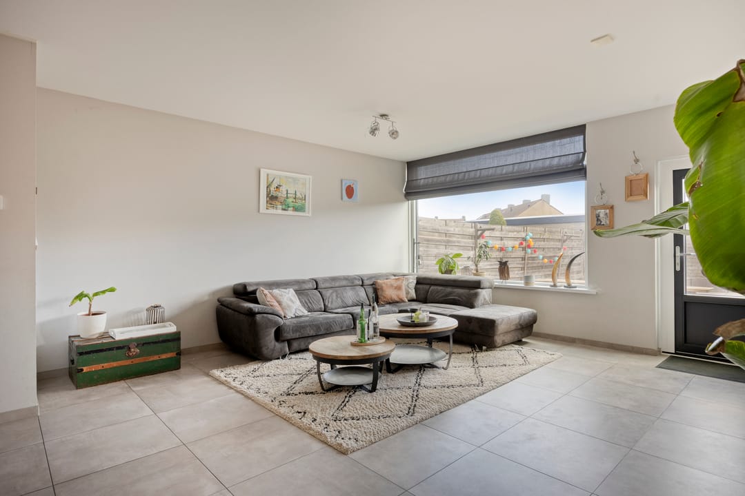 Foto 2 van Anemoon 13