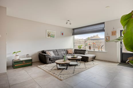 Anemoon 13 secondary image