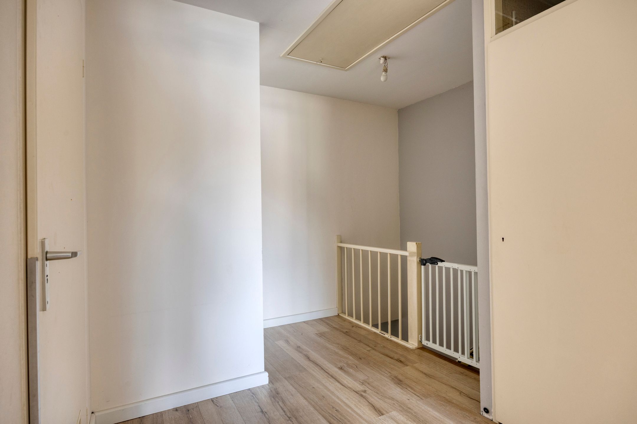 Foto 33 van Anemoon 13