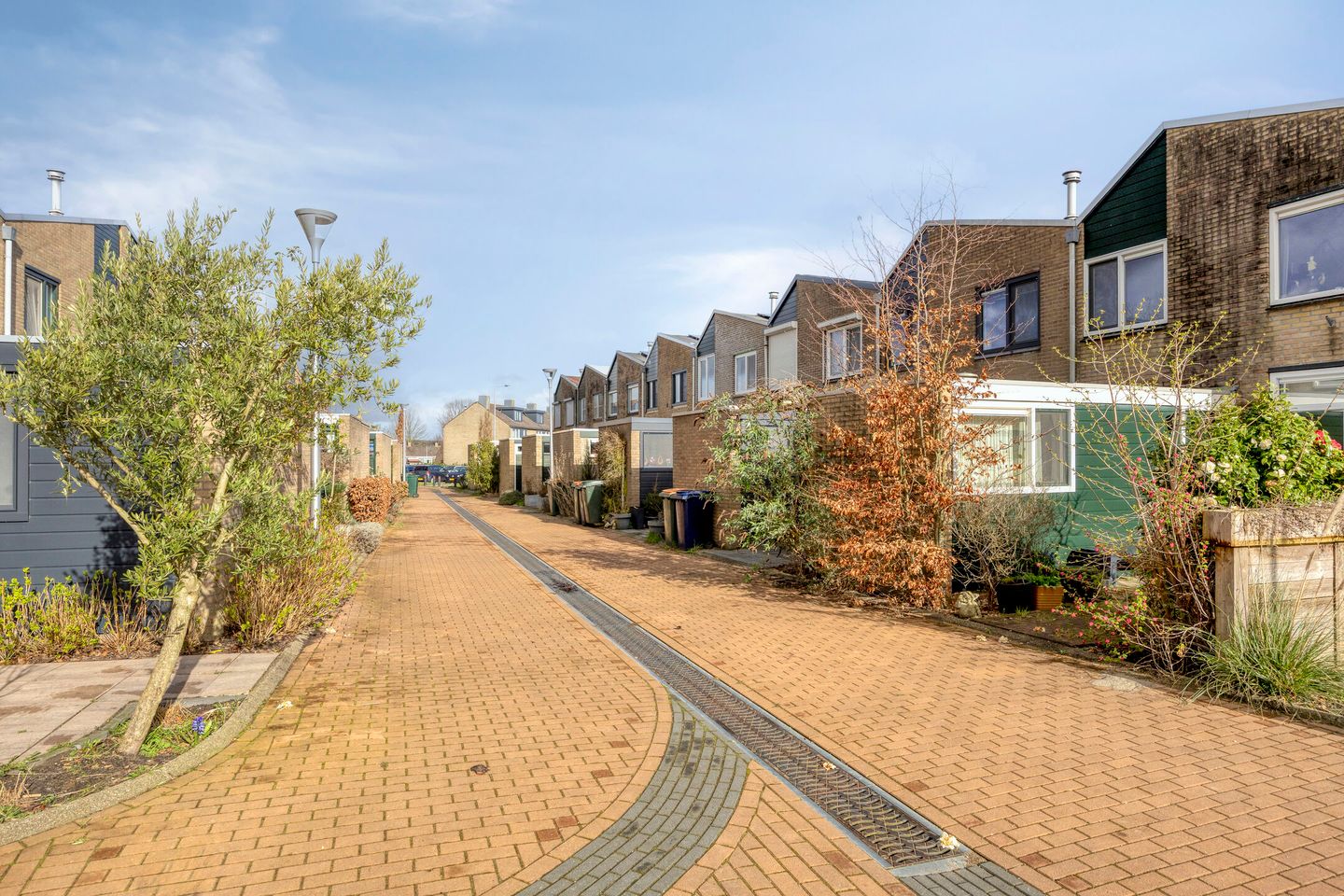 Foto 35 van Anemoon 13