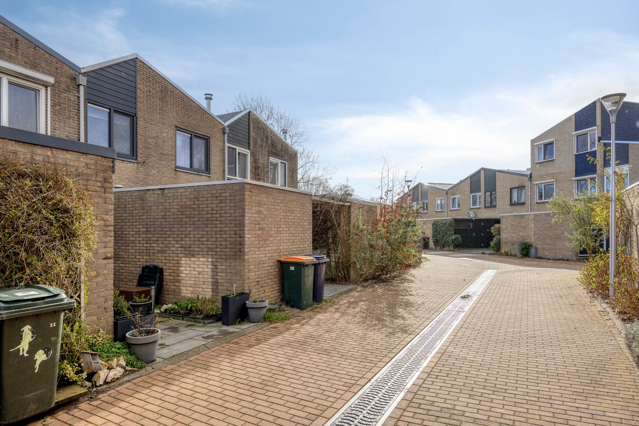 Foto 36 van Anemoon 13