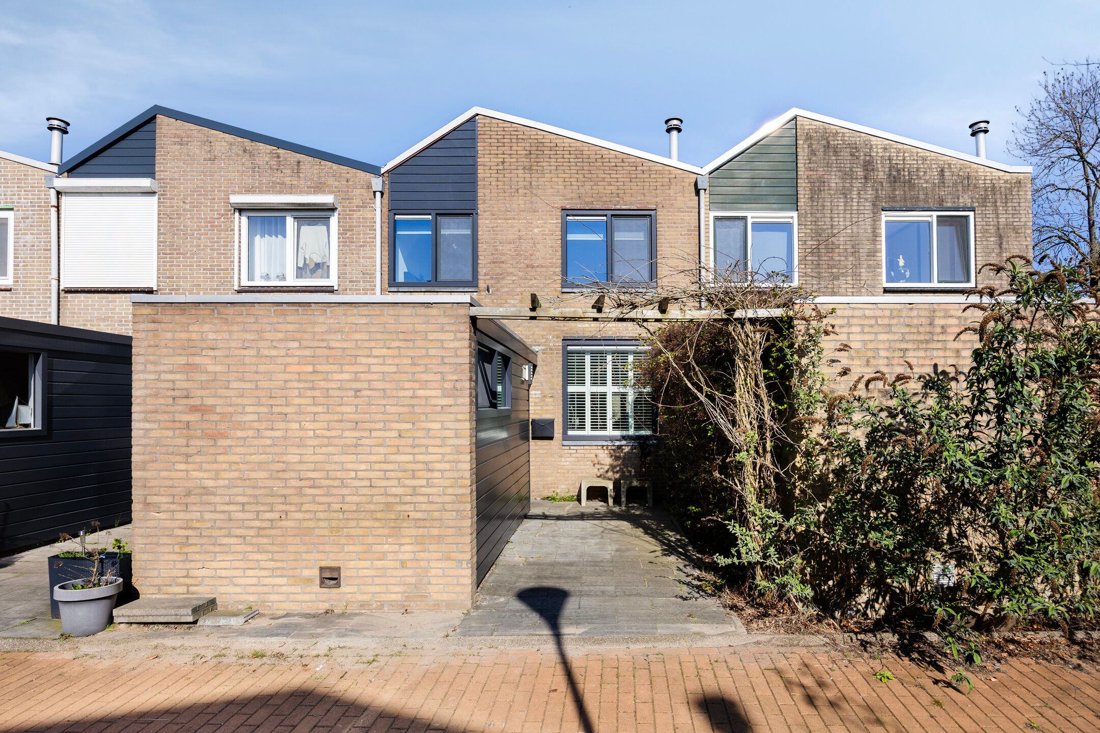 Foto 45 van Anemoon 13