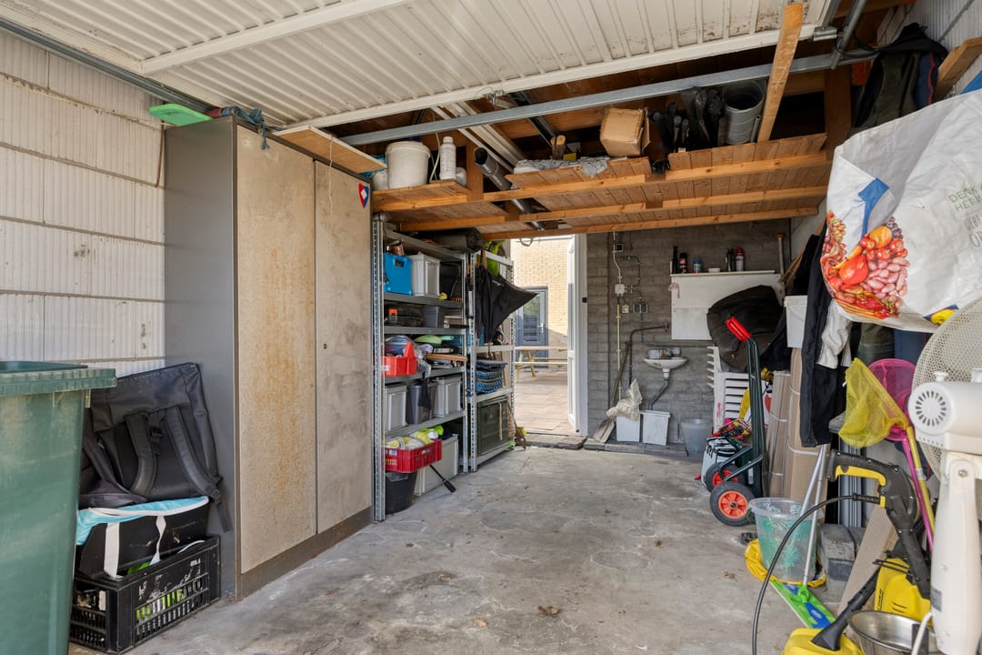 Foto 46 van Anemoon 13