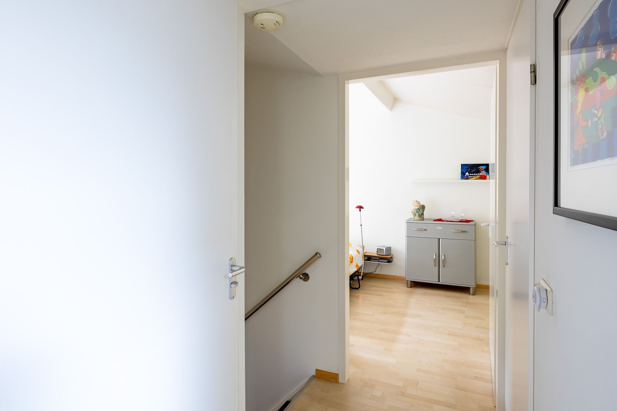 Foto 27 van Fluitekruid 54