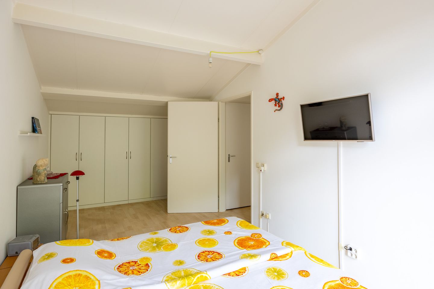 Foto 29 van Fluitekruid 54