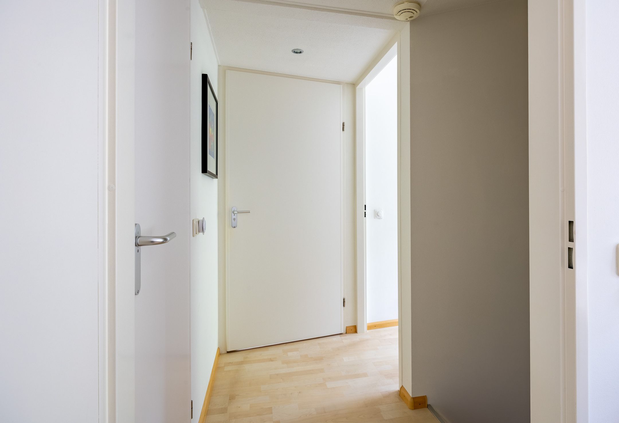 Foto 36 van Fluitekruid 54