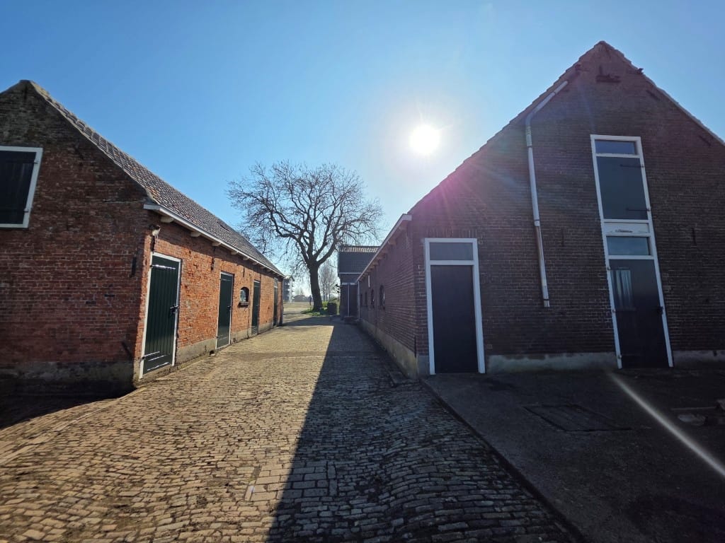 Foto 12 van Brasserskade 243