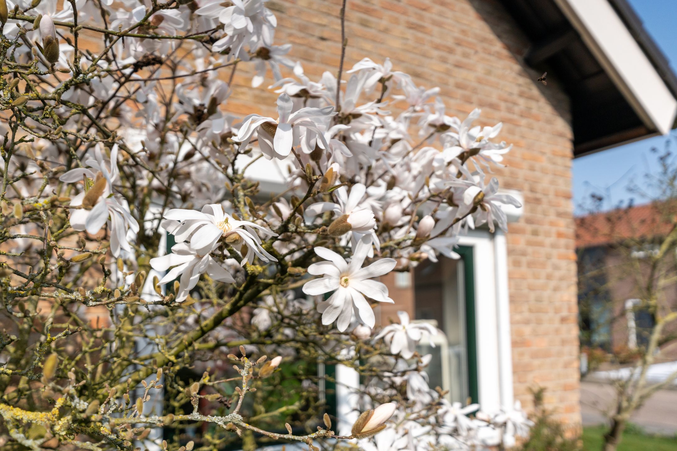 Foto 27 van Susterenhof 19