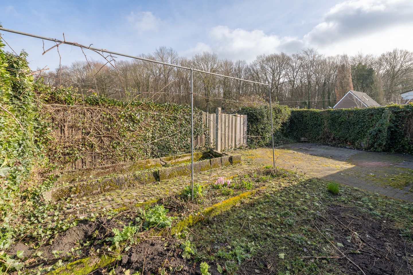 Foto 40 van Thorbeckelaan 88