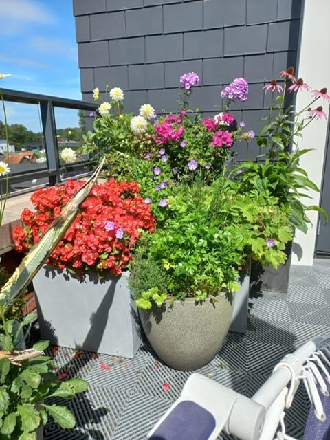 Foto 28 van Emmasingel 10-A