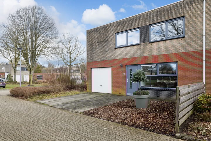 Foto 2 van Sneeuwuil 4