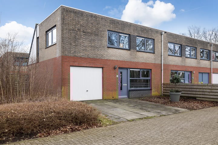 Foto 3 van Sneeuwuil 4