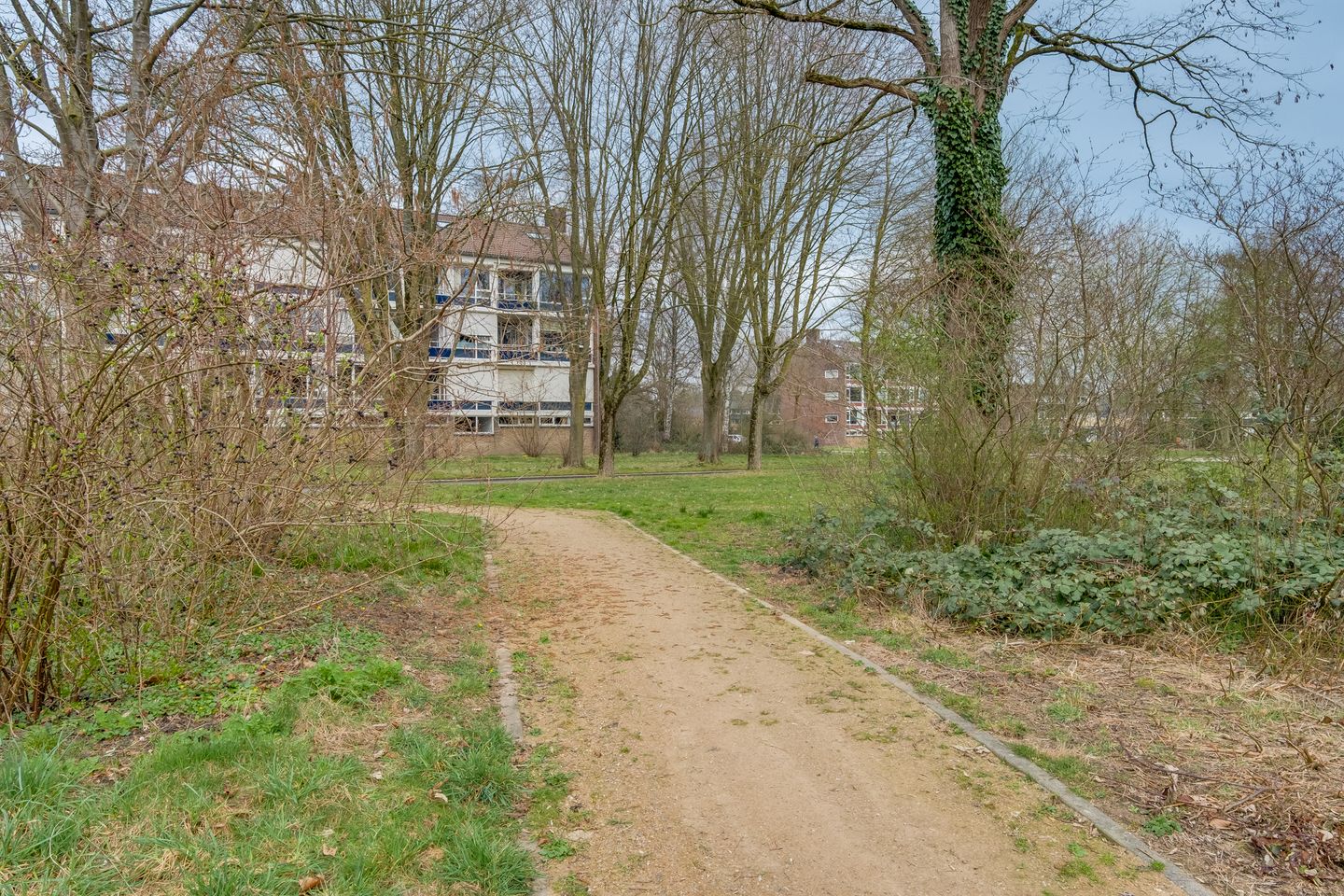 Foto 25 van Vogelplantsoen 37