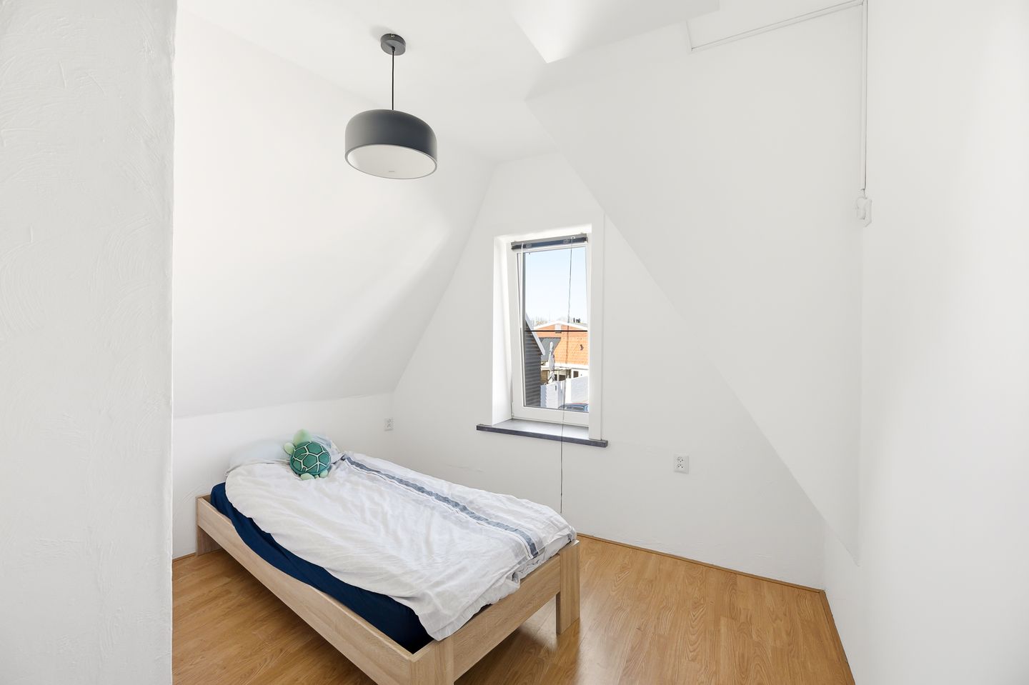 Foto 25 van Buteuxstraat 17